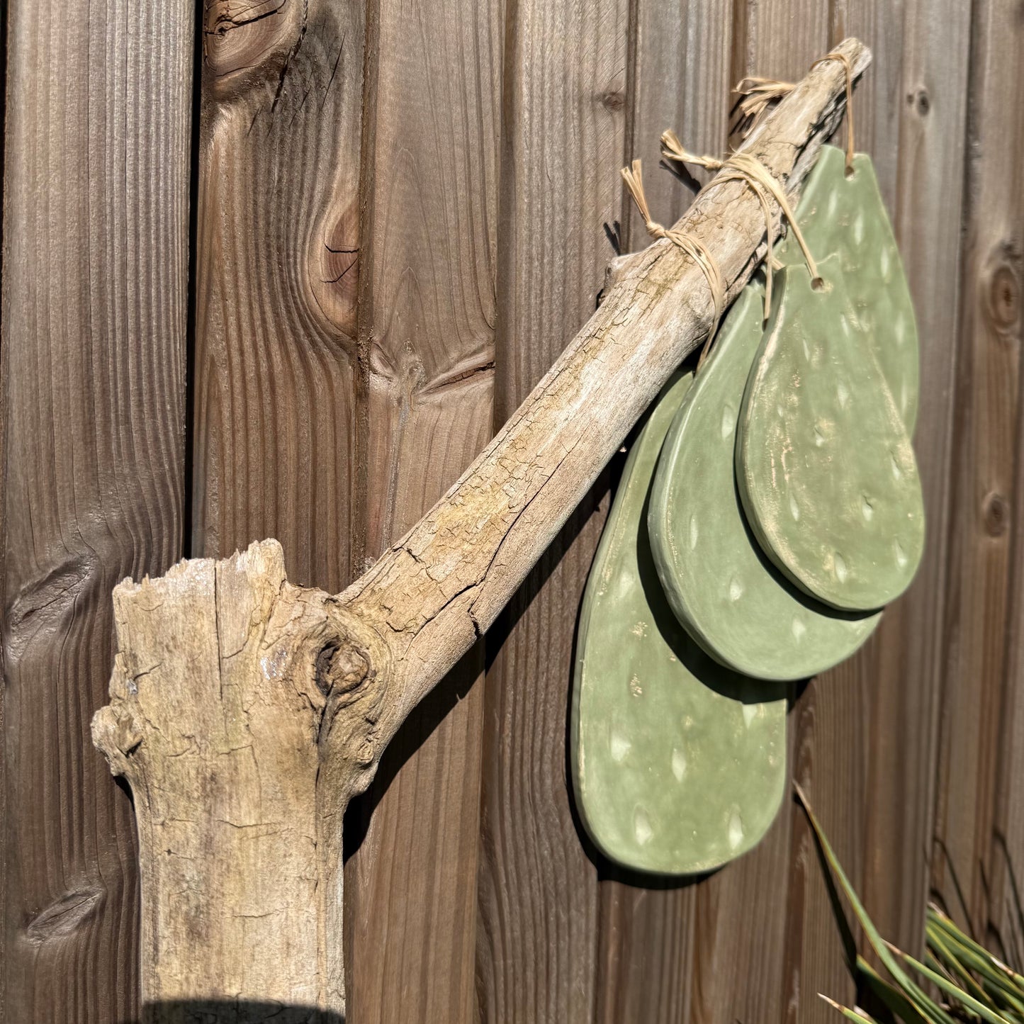 Feuilles de CACTUS ( 4 feuilles)