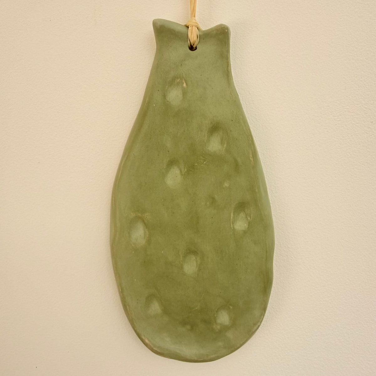 Feuilles de CACTUS ( 4 feuilles)