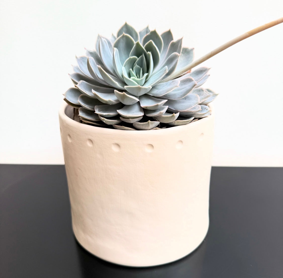 Vase - GISÈLE