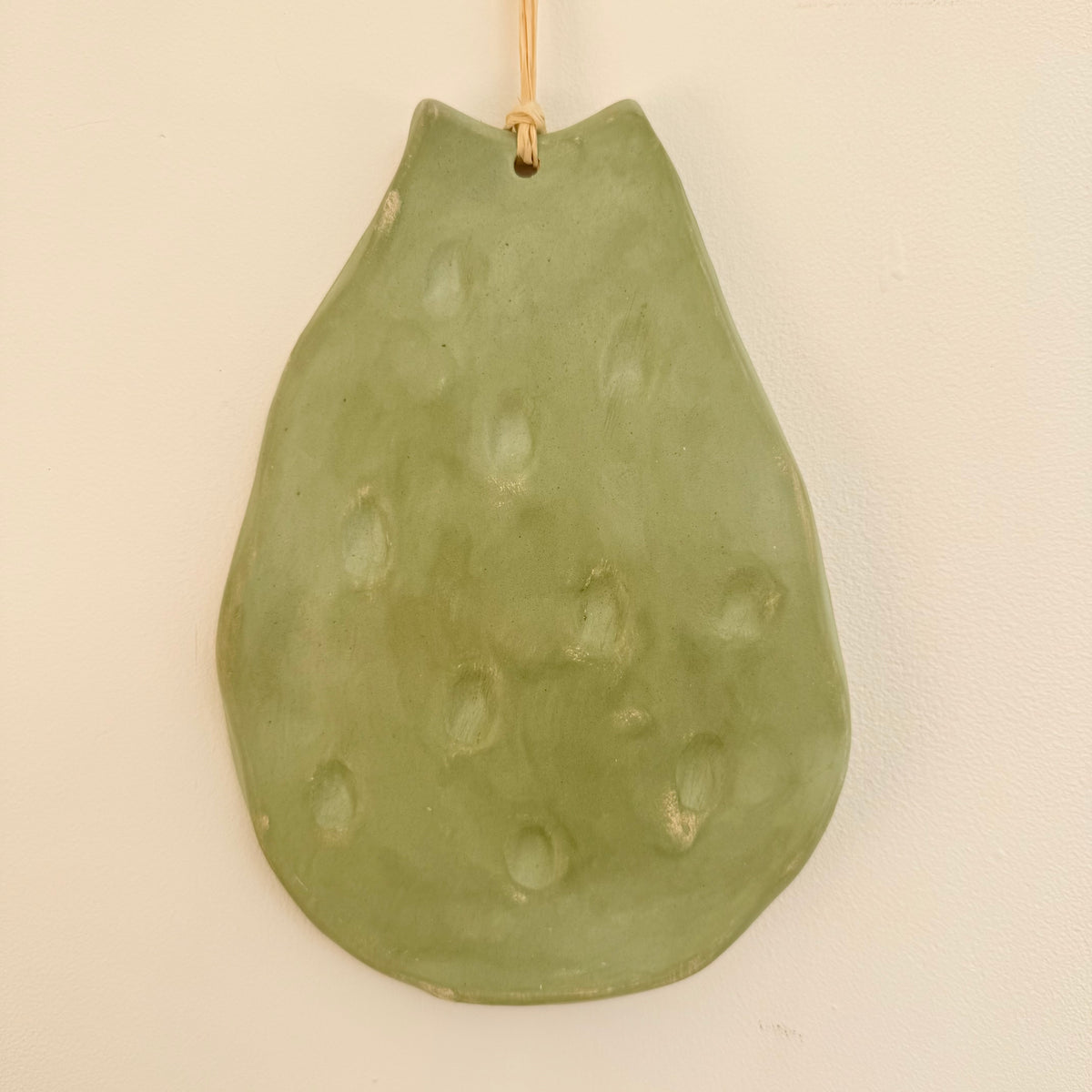 Feuilles de CACTUS ( 4 feuilles)